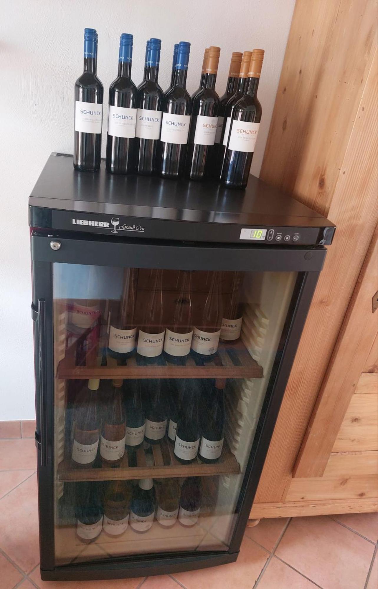 Apartamento Weingut Schunck Leinsweiler Exterior foto